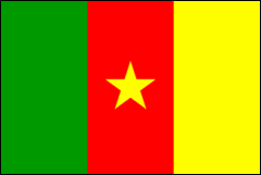 Cameroon's Flag