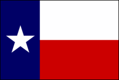TX's Flag