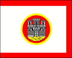 Bergen's Flag