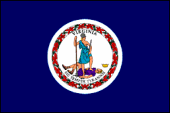 VA's Flag